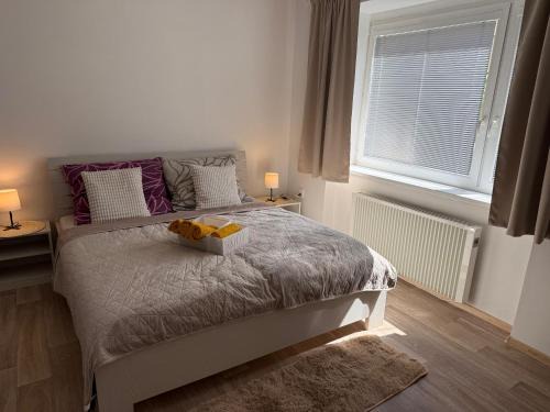 Jicin Apartamento | Apartmán Danimo