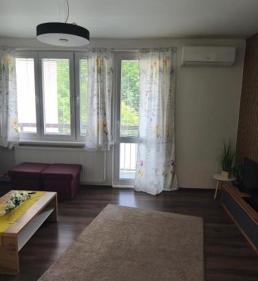 Stara Tura Apartamento | Apartmán Eli