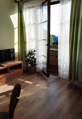 Ricky v Orlickych horach Apartamento | Apartmán PERLA 28, Říčky