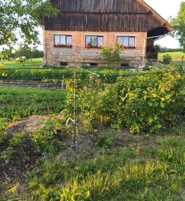 Skuhrov nad Belou Apartamento | Apartmán U Milušky