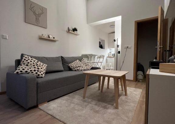 Horni Lipova Apartamento | Apartmán U Potoka