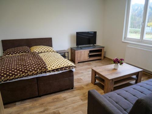 Novy Hrozenkov Apartamento | Apartmánový byt Kristýna