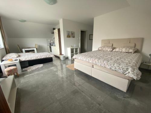Postojna Apartamento | Apartma Azurre