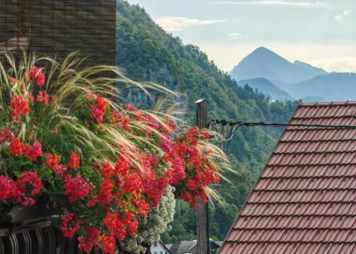 Bohinjska Bela Apartamento | Apartma Bela