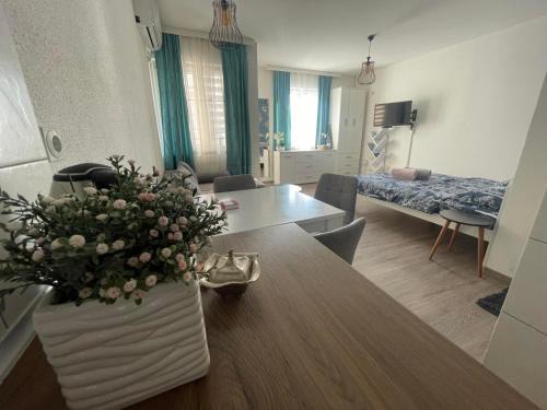 Banja Koviljaca Apartamento | Apartman 14