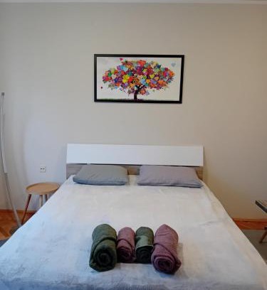 Zajecar Apartamento | Apartman A-1