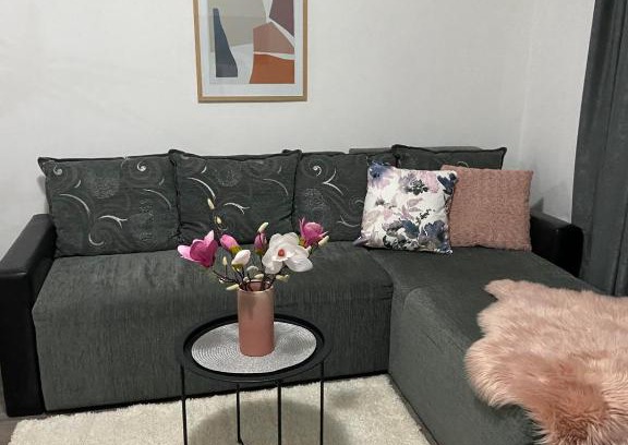 Jagodina Apartamento | Apartman Aleksic