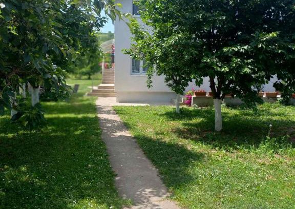 Vrdnik Apartamento | Apartman Flora Vrdnik