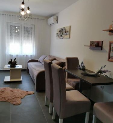 Veliko Gradiste Apartamento | Apartman Goga 2