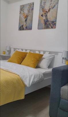 Zlatibor Apartamento | Apartman Iva