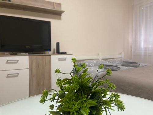 Paracin Apartamento | Apartman Lea