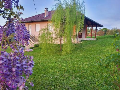Vrujci Apartamento | Apartman MatiNik Banja Vrujci