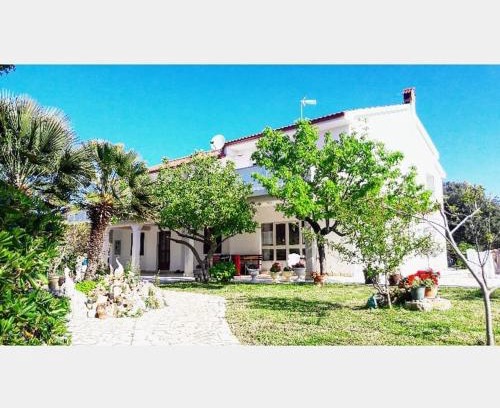 Suha Punta Apartamento | Apartman Miljenko - Matovica