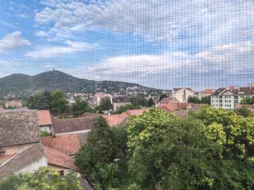 Vrsac Apartamento | Apartman N&S