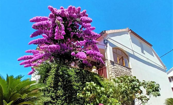 Island Dugi Otok Apartamento | Apartman Nada