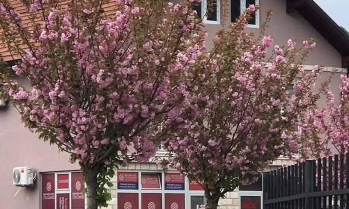 Visegrad Apartamento | Apartman Poljčić Višegrad