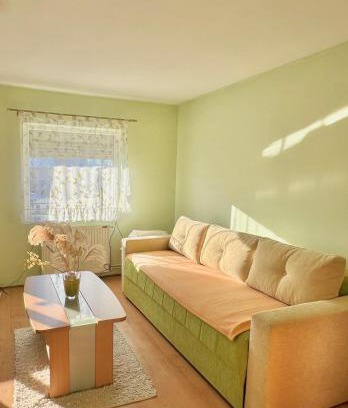 Arilje Apartamento | Apartman Rosić