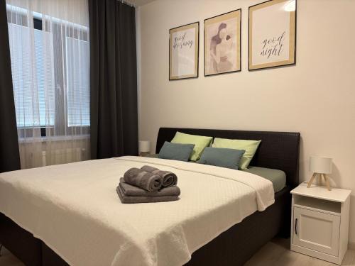 Puchov Apartamento | Apartman SPORKA
