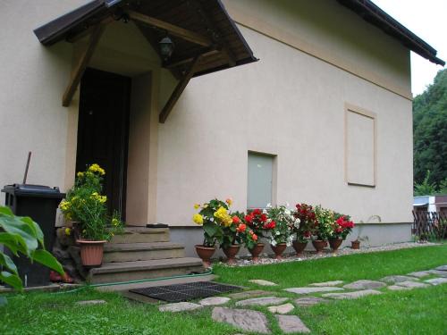 Svoboda nad Upou Apartamento | Apartman Svoboda