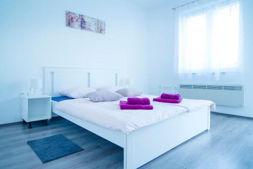 Slunj Apartamento | Apartman Višnja