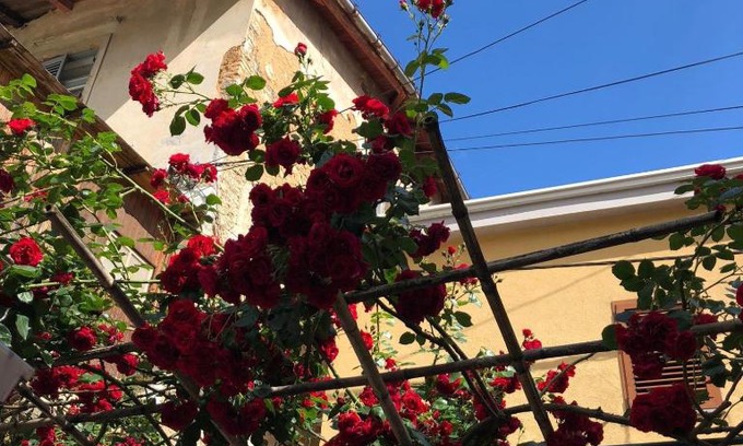 Ika Apartamento | Apartmani Banina