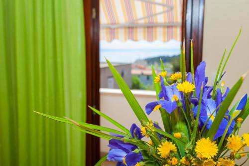 Bidol Apartamento | Apartmani Centar Makarska