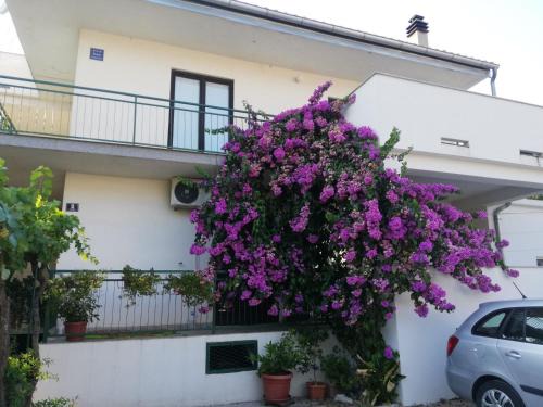 Pirovac Apartamento | Apartmani Danica