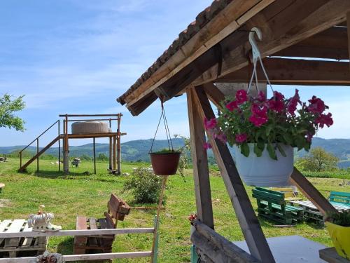 Central Serbia Apartamento | Apartmani Feliks