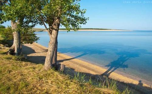Povljana Apartamento | Apartmani Marija