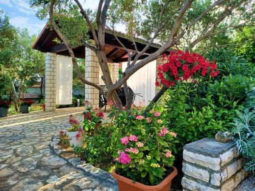 Barbat na Rabu Apartamento | Apartmani Milena