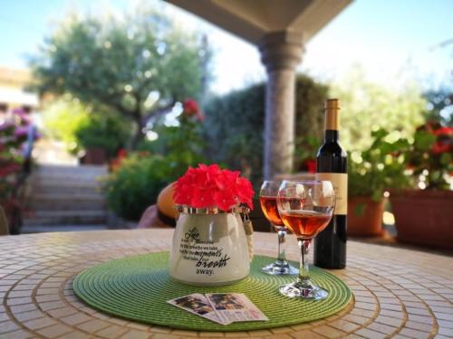 Novigrad Apartamento | Apartmani Rita Kiwi