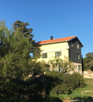 Silba Apartamento | APARTMENT ŽUŽI Otok Silba Hrvatska