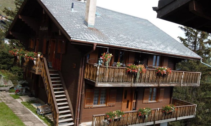 Bettmeralp Apartamento | Apartamento ∙ 2 habitaciones ∙ 4 huéspedes