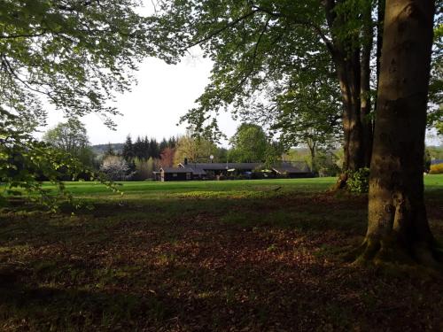 Presseck Apartamento | Apartment am Buchenhain