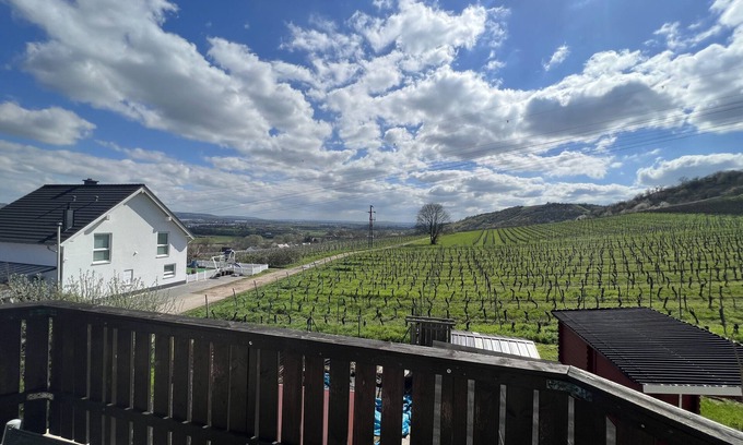 Mainz-Bingen Apartamento | Apartamento 'Am Keßlersberg' con balcón, Wi-Fi y aire acondicionado