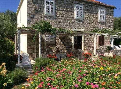 Broce Apartamento | Apartment Ana Broce