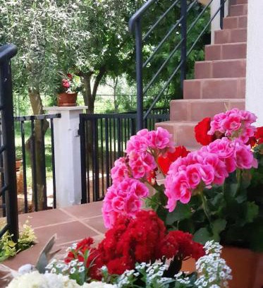 Umag Apartamento | Apartment Ankica