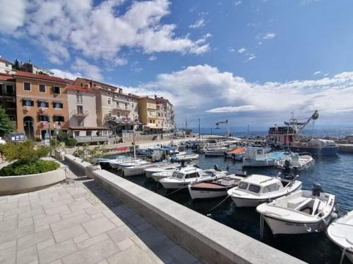 Obrs Apartamento | Apartment Antea -Opatija riviera