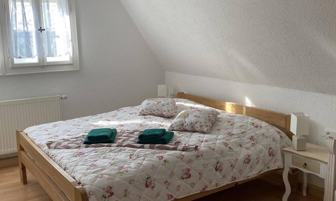 Altenberg Cama Y Desayuno | Apartment/apartment, shower and bath, WC, mountain side - Pension ZUR 23