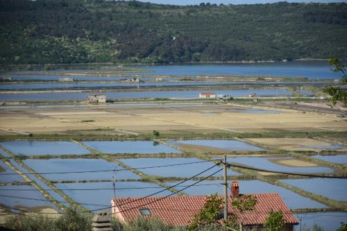 Seca Apartamento | Apartment Burja with Olive Grove & Salt Pans View