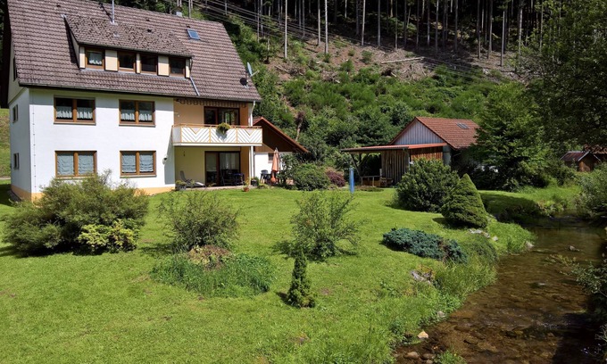 Schenkenzell Apartamento | Apartment