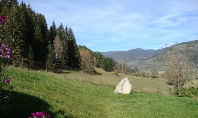 Gloednitz Apartamento | Apartment Eden
