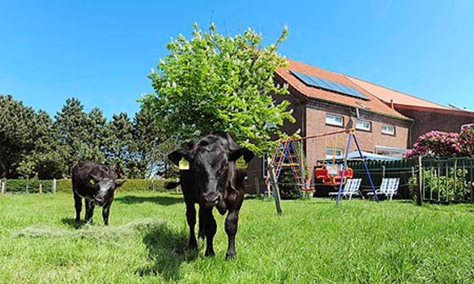 Westerholt Otro | Apartamento - Ferienhof Janssen