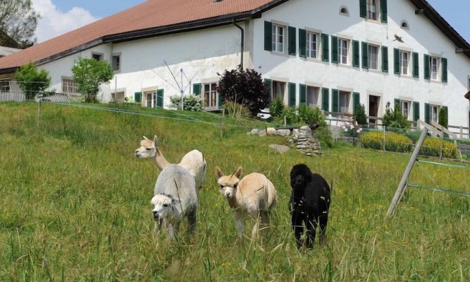 Muriaux Apartamento | Apartamento Gîte - Ferme O'Clés en Les Breuleux - 4 personas, 1 dormitorios
