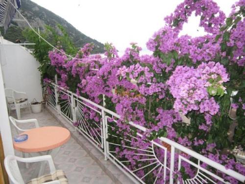 Gradac Apartamento | Apartment Graciela