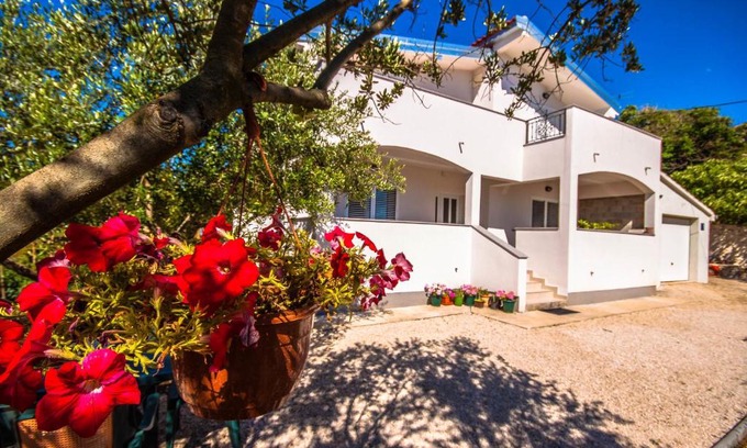 Diklo Apartamento | Apartment Green