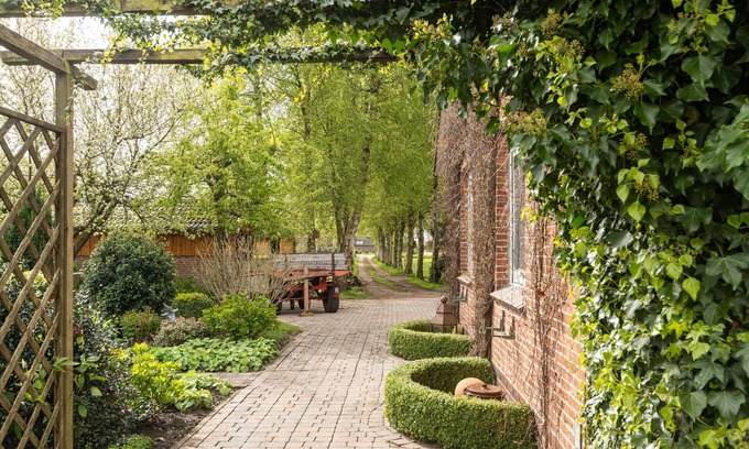 Schwerinsdorf Apartamento | Apartamento en planta baja, Birken-Allee 35181 - Apartamento Birch Alley