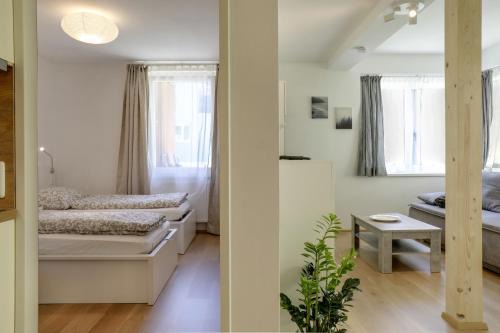 Muhlbachl Apartamento | Apartment Habicht