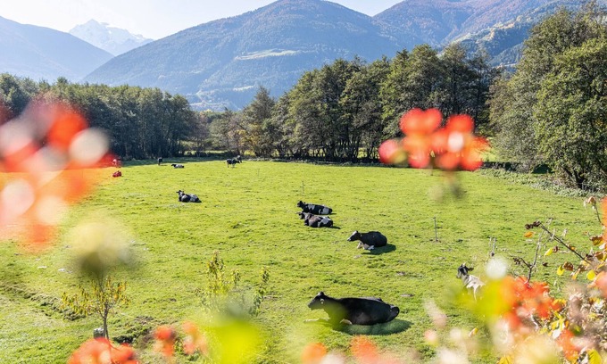 Sluderno Apartamento | Apartamento 'Hausergut Bonita 4' con vistas a la montaña, jardín compartido y Wi-Fi