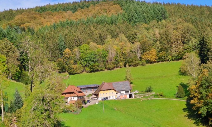 Wolfach Apartamento | Apartment 'Hof' with Mountain View, Private Terrace and Wi-Fi